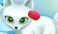 Hra Paws to Beauty Arctic Edition