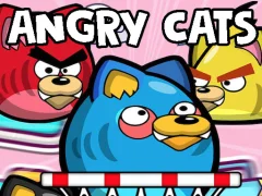 Hra Angry Cats