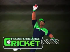 Hra Cricket Fielder Challenge
