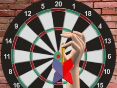 Hra Darts 501