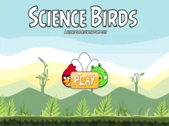 Hra Science Birds