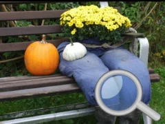 Hra Autumn Garden Find 100 butterflies