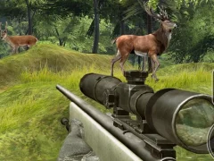Hra Stag Hunt