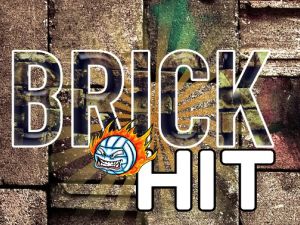 Hra Brick Hit