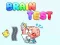 Hra Brain Puzzle