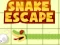 Hra Snake escape