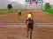 Hra Jumping Horses Champions