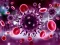 Hra Coronavirus Puzzle