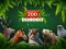 Hra ZOO Trivia