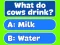 Hra Trivia! Best Family Quiz