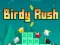 Hra Birdy Rush