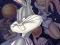 Hra Space Jam
