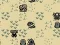 Hra Lost in Jungle