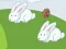 Hra Crazy Eggs