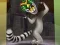 Hra King Julien: Trommel-Tanz