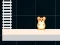 Hra Hamster Grid Even Odd