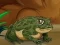 Hra Frogs Matching