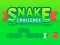 Hra Snake Challenge