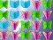 Hra Butterfly Collector