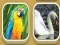 Hra Match Zoo