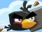 Hra Crazy Birds