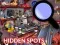 Hra Hidden Spots In The Room