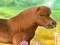 Hra My Dear Pony