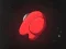 Hra Second Blink: You Can (Not) Get