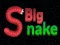 Hra Big Snake.io