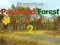Hra Mysterious Password Forest Autumn Edition 2