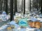 Hra Winter Wonderland Forest Adventure