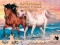 Hra Animals Jigsaw Puzzle Horses