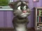 Hra Talking Tom Cat 2