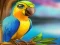 Hra Little Parrot Escape