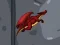 Hra Dragon Domination