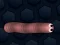 Hra Math Slither