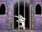 Hra Victory Rabbit Escape