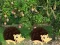 Hra Escape From Mango Farm