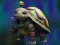 Hra Isolated Turtle Escape