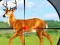 Hra Wild Hunt Hunting Games 3D