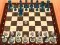 Hra Chess Master 3D