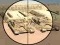 Hra Camo Sniper