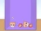 Hra Evolution of Cat Memes