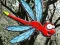 Hra Escape From Dragonfly Forest