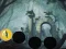 Hra Hungry Devil Forest Escape