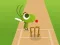 Hra Doodle Cricket