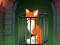 Hra Fox in the Forgotten Ruins