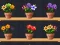 Hra Good Flower Master
