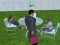 Hra Millionaire Simulator 2024