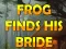 Hra Frog Finds His Bride